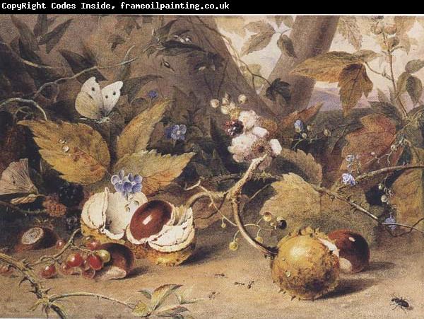 Elizabeth Byrne Still-life with horse chestnuts and insects (mk47)